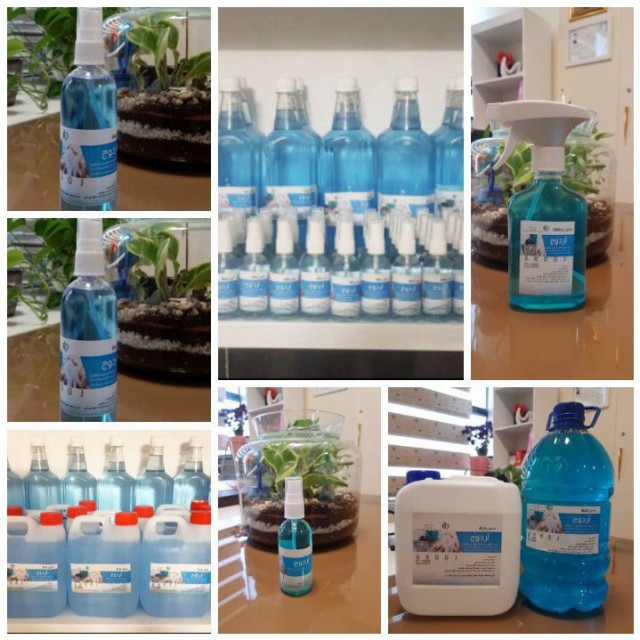 نگارین بهدیس هونام