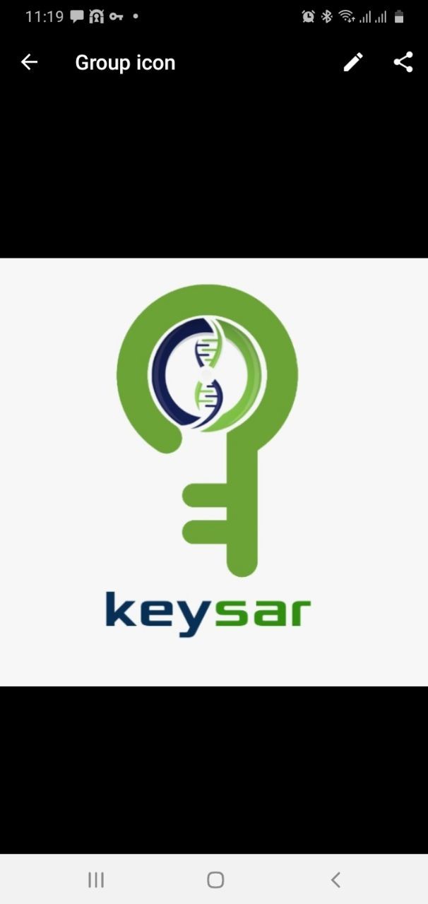 کیمیاگران سانا اکسیر